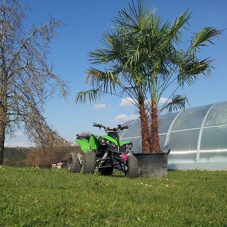 Ferienhaus Regina Walkertshofen Ngoại thất bức ảnh